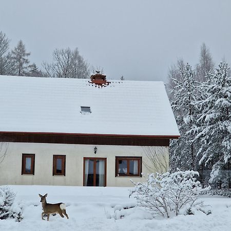 Dom Na Pstraznicy Vila Kudowa-Zdrój Exterior foto