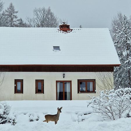 Dom Na Pstraznicy Vila Kudowa-Zdrój Exterior foto