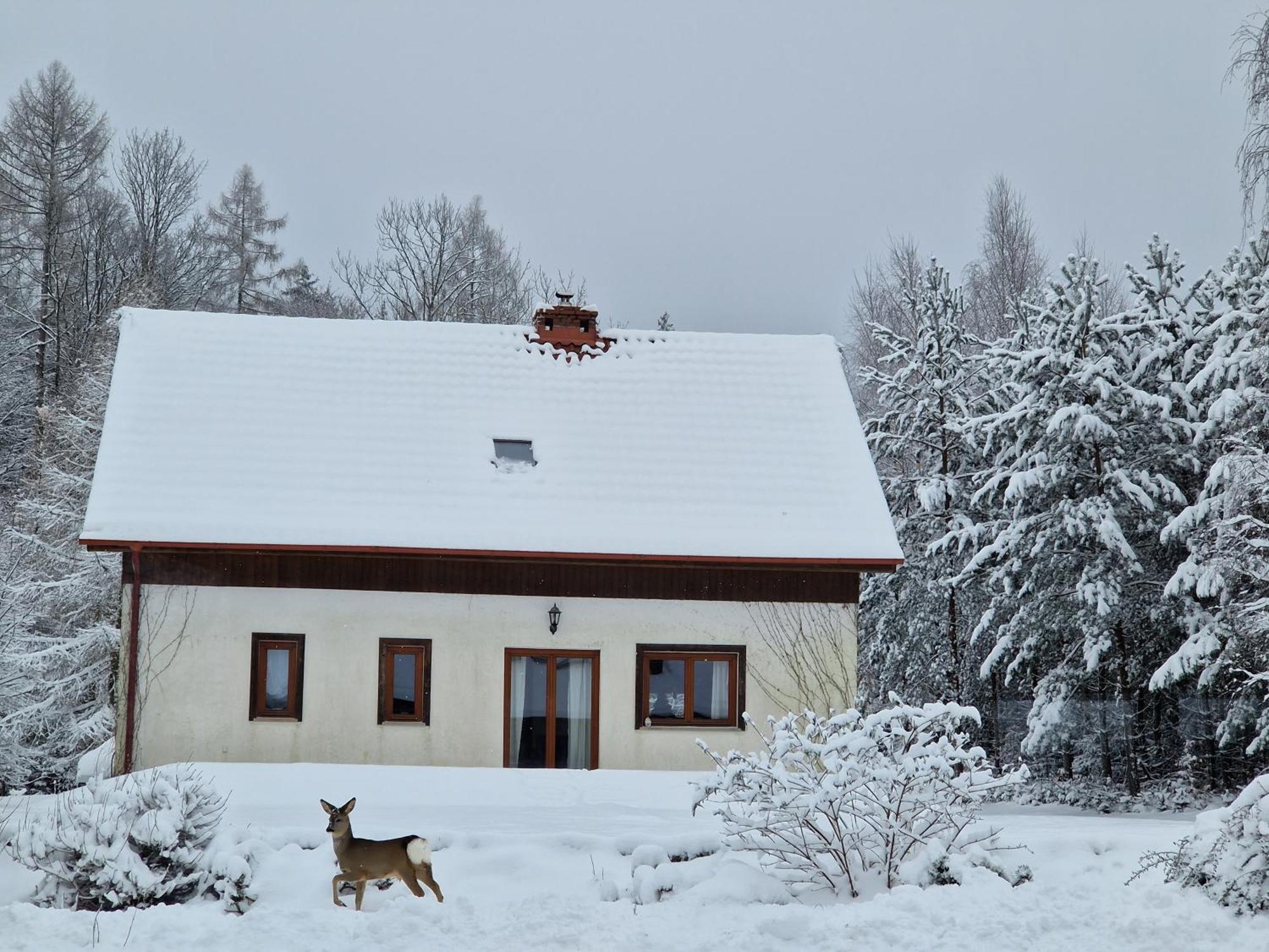 Dom Na Pstraznicy Vila Kudowa-Zdrój Exterior foto