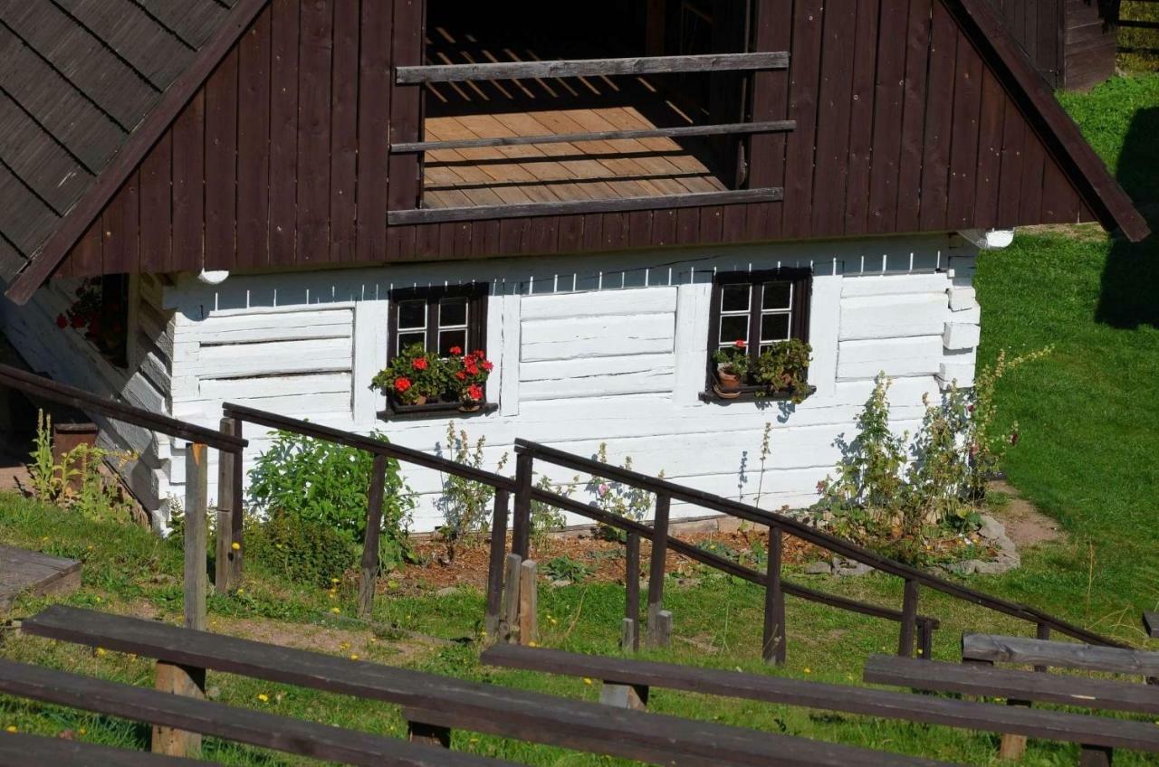 Dom Na Pstraznicy Vila Kudowa-Zdrój Exterior foto