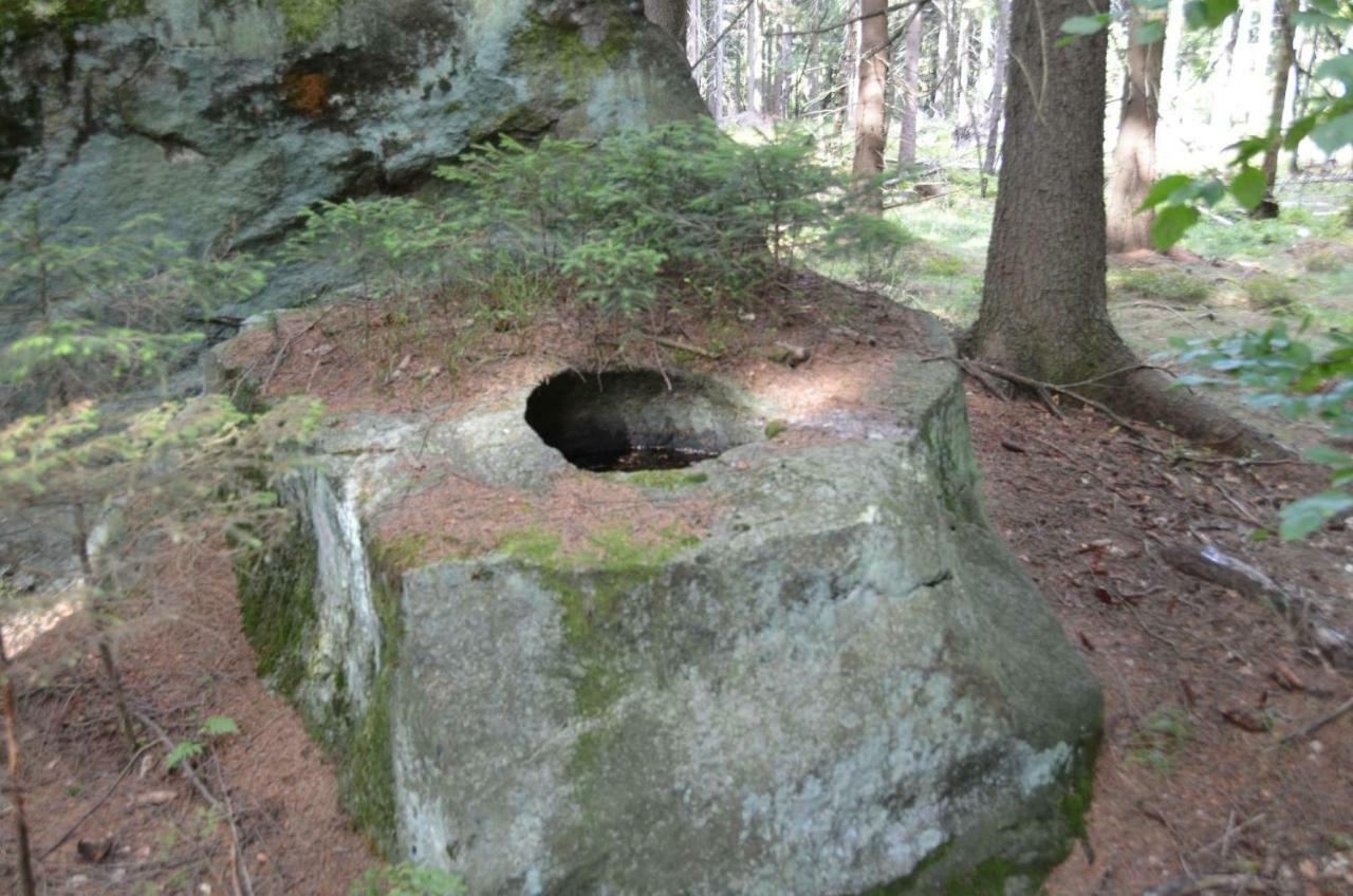 Dom Na Pstraznicy Vila Kudowa-Zdrój Exterior foto