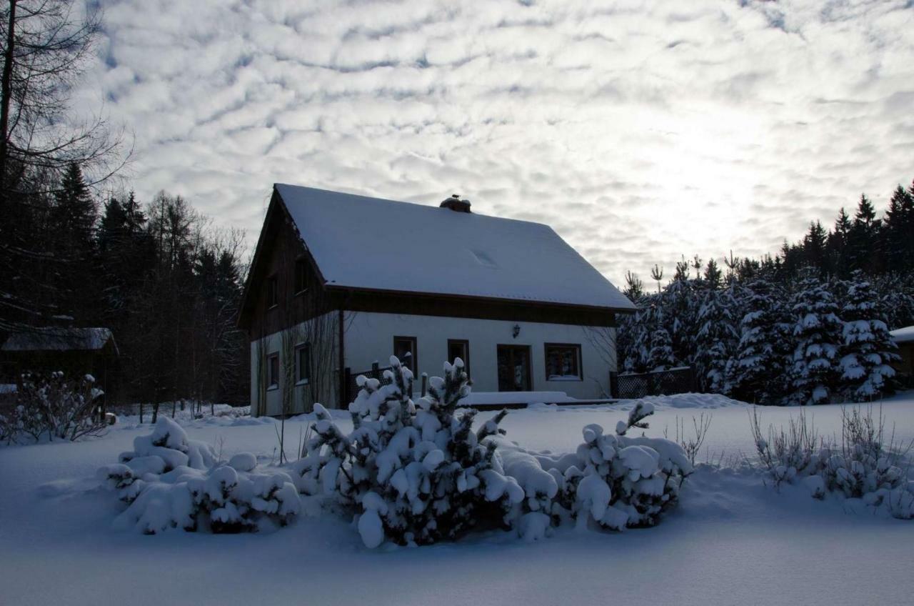 Dom Na Pstraznicy Vila Kudowa-Zdrój Exterior foto